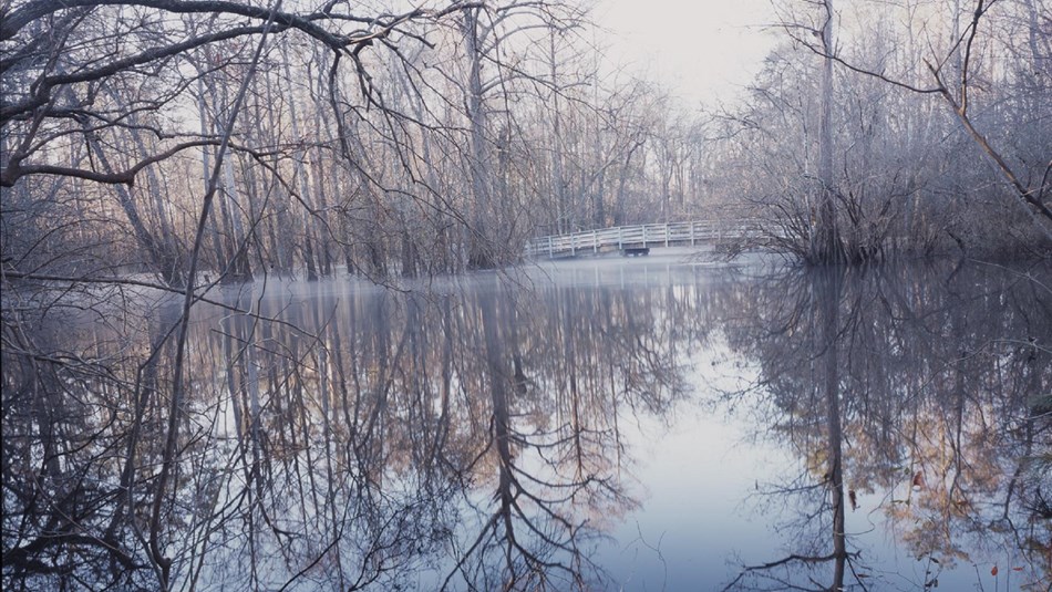 Virtual tour of Moores Creek National Battlefield Moores Creek