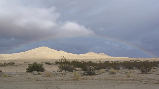 A rainbow over Kelso Dunes. Cloudy sky. Creosote in front of the dunes.