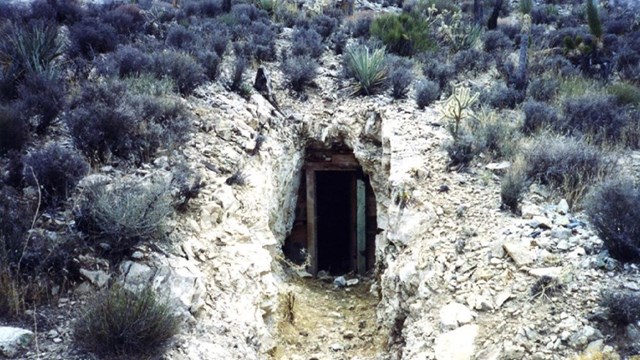 A picture containing a mine shaft with a wooden entrance under a creosote covered hill