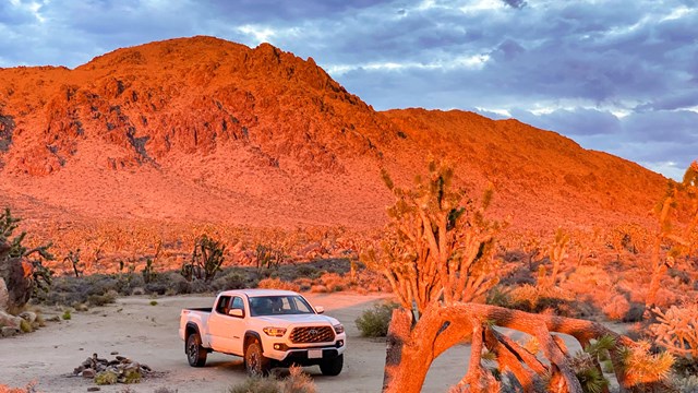 Mojave National Preserve (U.S. National Park Service)