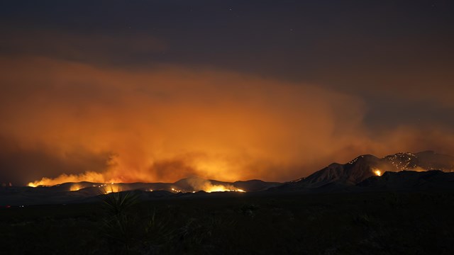 Flames of the York fire burning at night in Mojave National Preserve.