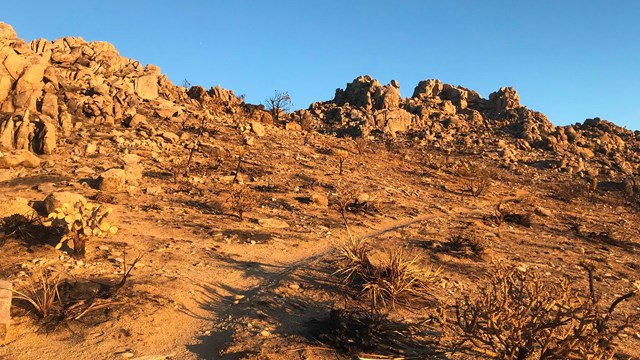 Sunset on Teutonia Peak. Burned landscape with rocky peaks.