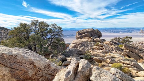 A Granite boulders and shrubby trees with a view of desert valleys and mountains in the background 