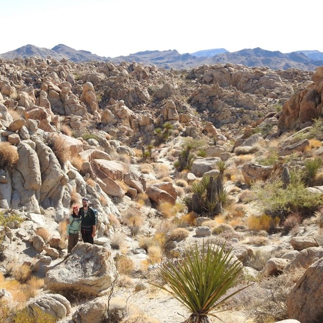 Two hikers pose in a landscape of jagged rocks and limited shrubbery 