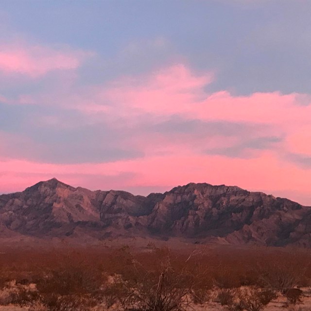 Pink clouds over mountains and creosote