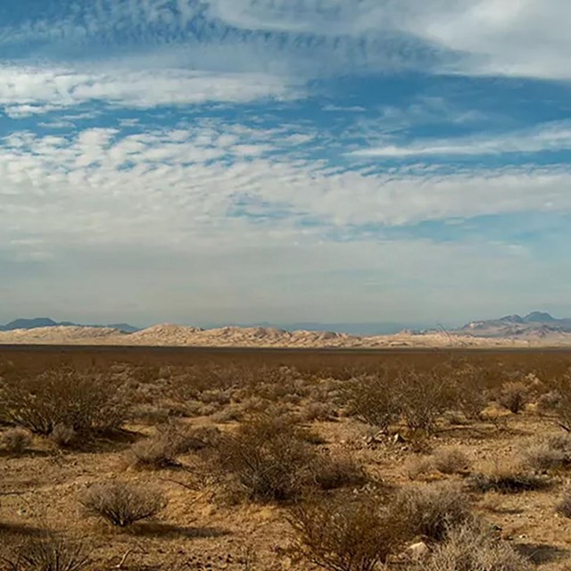 Picture of Kelso Dunes