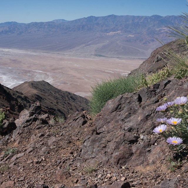 view from mountain range overlooking Badwater Basin in Death Valley National Park