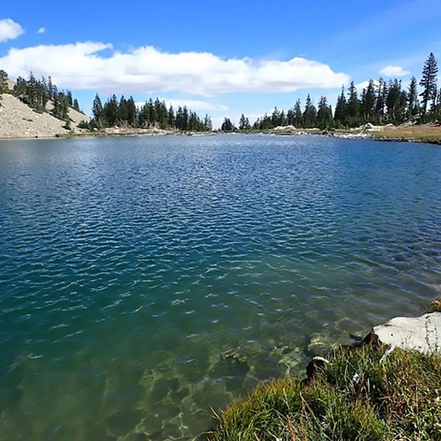 serene subalpine lake with a cloudless sky