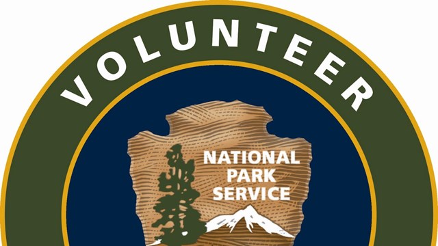 Volunteer Logo