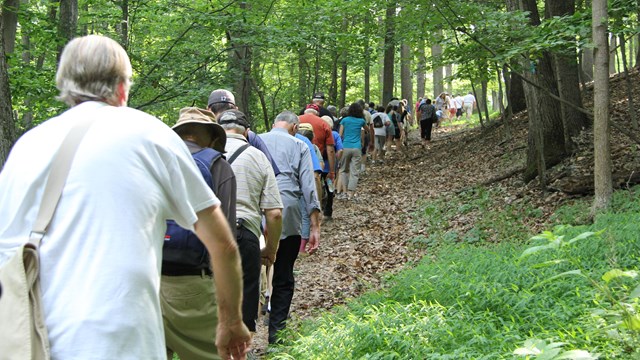 Group of visitors walking the wooded Brooks Hill Trail