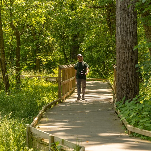 A man walks on a boardwalk in the woods.