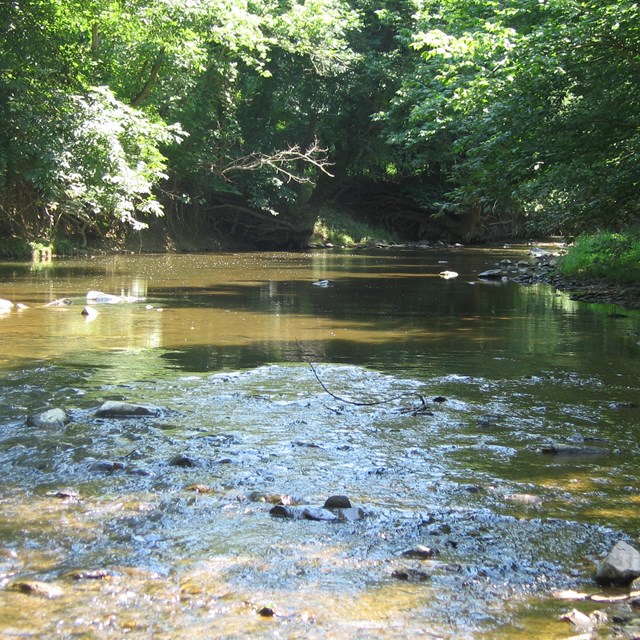 A shallow creek