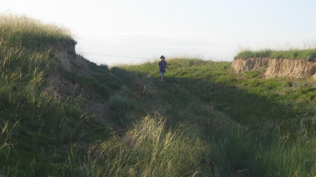 A person walks up a swale, covered in gress grass.