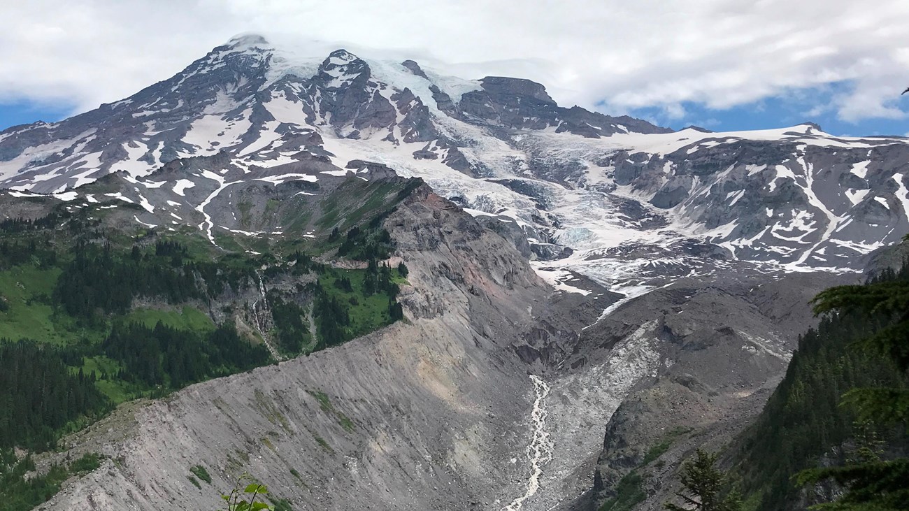 A glacier carves down a mountain into a deep river valley surrounded by forest. 