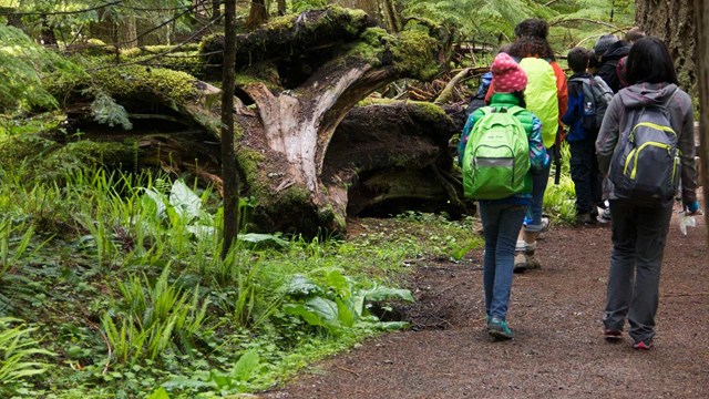 Students walk along a trail.