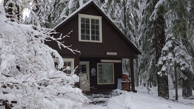 A small wood building framed by a snowy forest. 