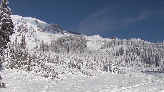 Mount Rainier and the Paradise meadows covered in snow.