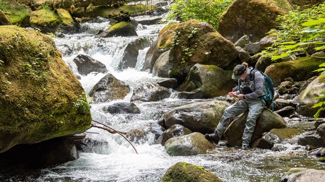 A person in waders leans against a rock in a cascading river that and writes down notes.