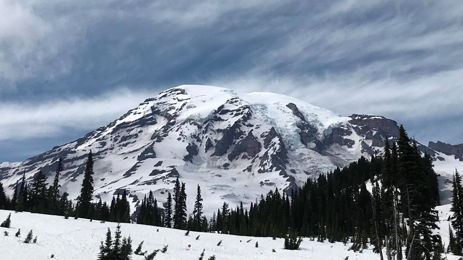 Mount Rainier