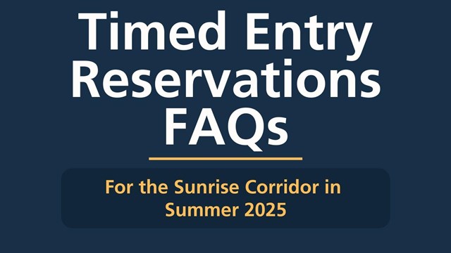 Text on blue background reads "Timed Entry Reservations FAQs" 