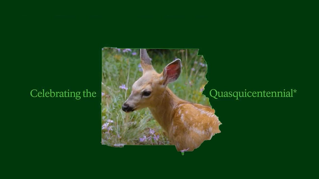 A deer inside an outline of the park border. Text: Celebrating the Quasquicentennial.