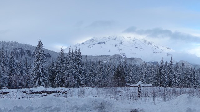 Panoramic image of a snow-covered forested ridge and mountain. 
