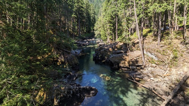 A turquoise river flows through a rocky ravine with steep banks covered in evergreen trees.