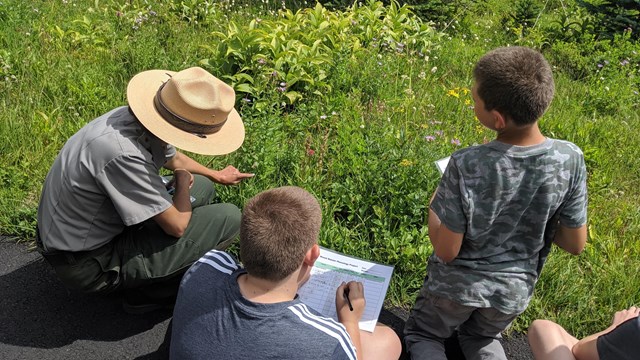 A ranger crouches down to point out meadow plants to children next to a trail.