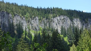 A line of steep, grey cliffs along a ridge surrounded by forest. 