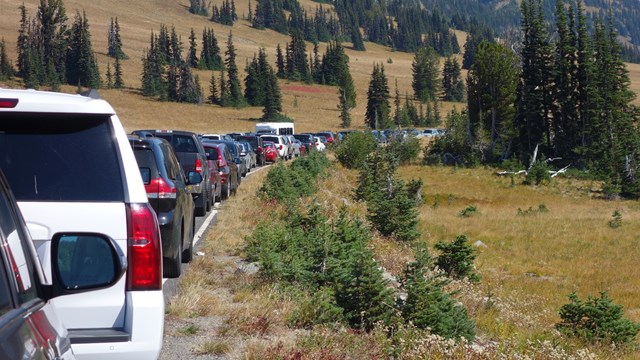 A long line of cars parked down the side of the road at Sunrise.