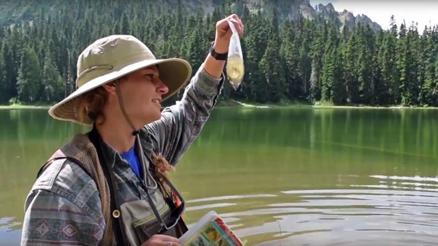 A person standing in a lake holds up a clear bag with a lake water sample. 