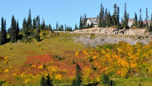 A patchwork of red, orange, and yellow fall foliage covers a hillside below a road.