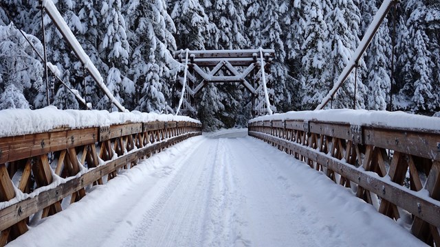 A snow-covered wooden suspension bridge framed by a dark forest. 