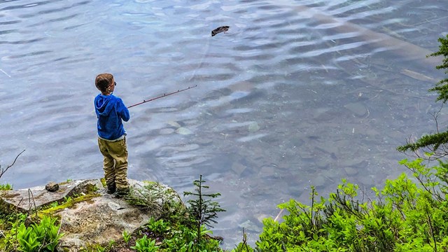 A hand holds a small brown and green spotted trout. 