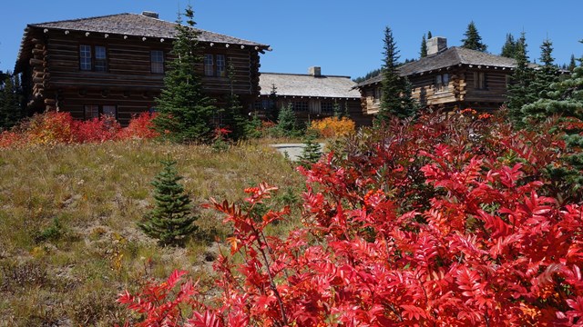 Bright red fall foliage frames a wood building.