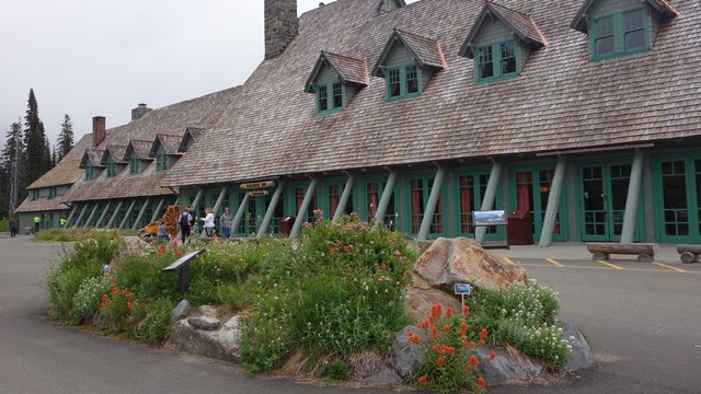 Wildflowers bloom in front of a large wood building with an angled roof. 