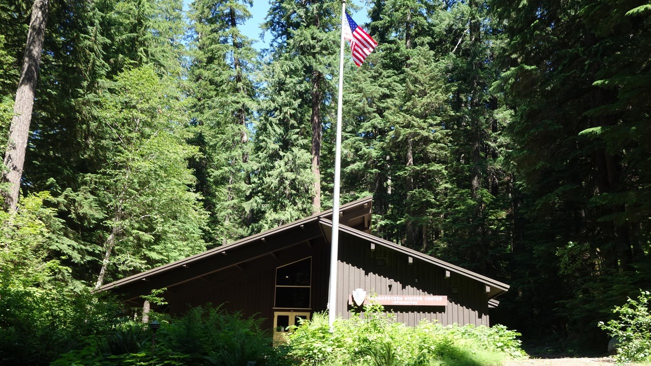 A visitor center with a flag pole in front and surrounded by tall trees. 