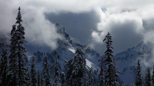 Mount Rainier National Park U S National Park Service