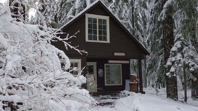 Snow-covered trees around the Longmire Museum