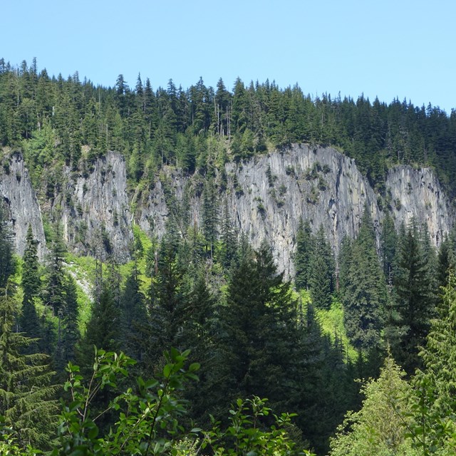 A line of steep, grey cliffs along a ridge surrounded by forest. 