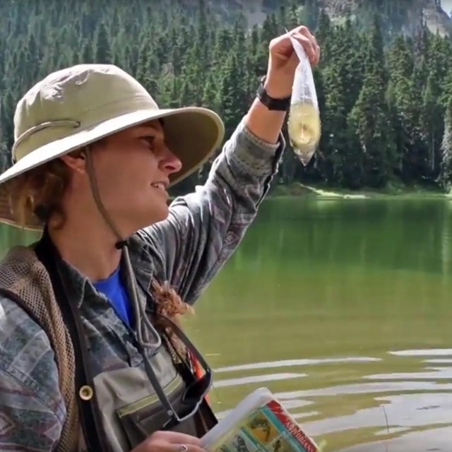A person standing in a lake holds up a clear bag with a lake water sample. 
