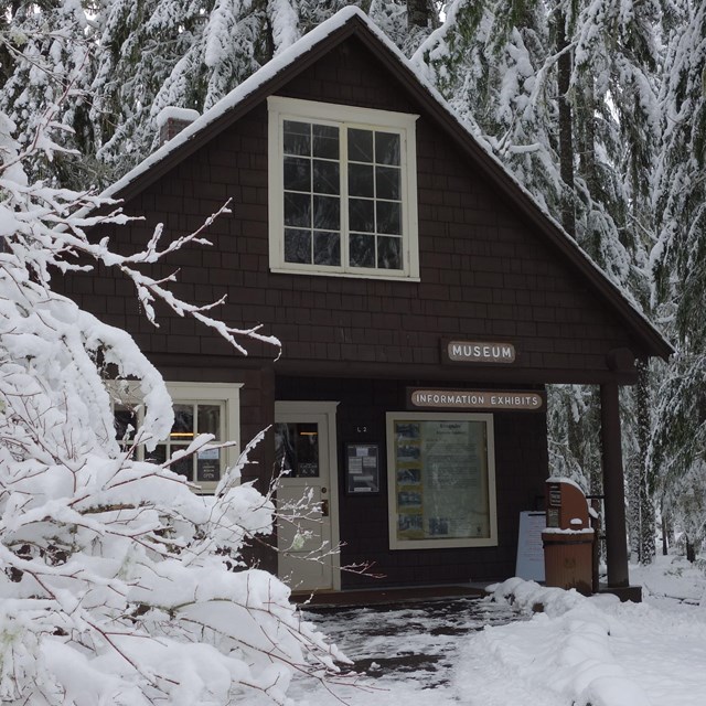 Snow-covered trees around the Longmire Museum