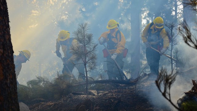 Wildland firefighters creating a fire line at Mount Rushmore.