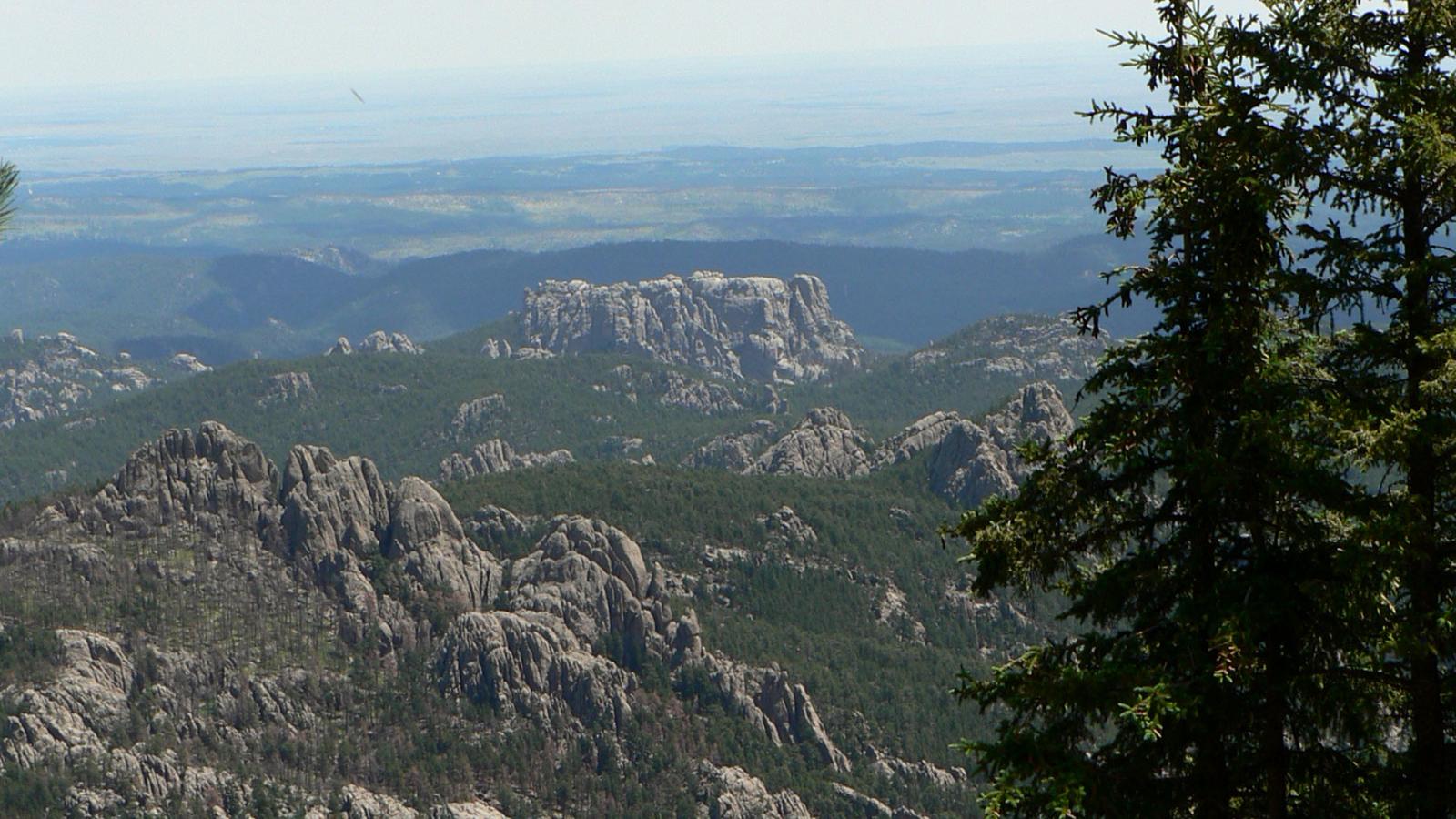 View of Mount Rushmore from behind with the plains in the distance.