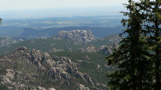 View of Mount Rushmore from behind with the plains in the distance.
