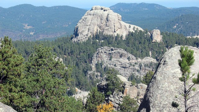 Granite outcroppings surrounded by ponderosa pine forest near Mount Rushmore.