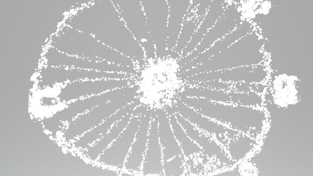 Circular illustration depicting a center with lines extending out of it.