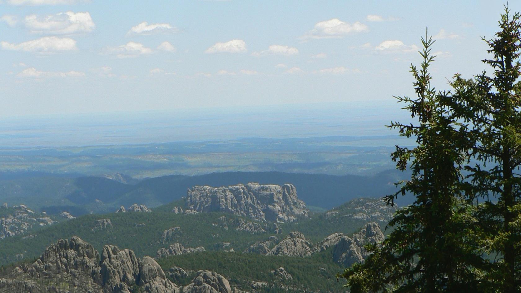 Photo of the Black Hills with Black Hills spruce trees in the foreground.