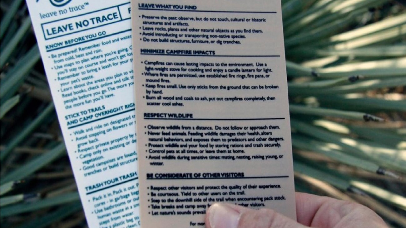 Hand holding cards that describe Leave No Trace Principles