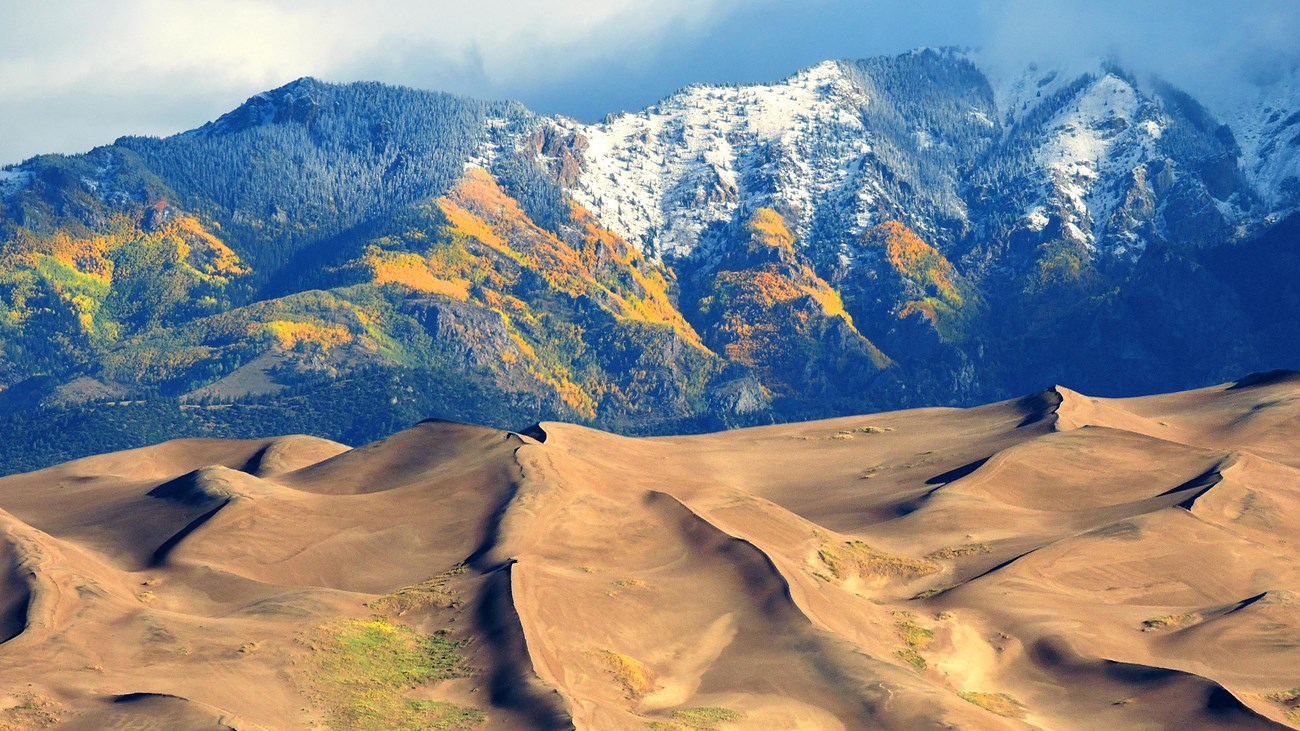 Tall snow capped mountains with golden aspen slopes rise above sand dunes and a grassy valley floor.